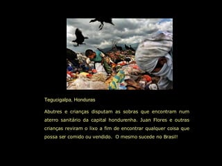 Tegucigalpa, Honduras  Abutres e crianças disputam as sobras que encontram num aterro sanitário da capital hondurenha. Juan Flores e outras crianças reviram o lixo a fim de encontrar qualquer coisa que possa ser comido ou vendido.  O mesmo sucede no Brasil! 