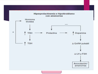 Hiperprolactinemia
Estrógenos
reducidos
Dopamina
central
Activa
Altera
GnRH
OVULACION
 