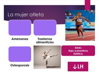 La mujer atleta
Amenorrea Trastornos
alimenticios
Osteoporosis
Estrés
Bajo autoestima
Estética
↓LH