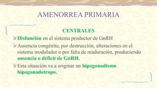 AMENORREA PRIMARIA
CENTRALES
Disfunción en el sistema productor de GnRH
Ausencia congénita, por destrucción, alteraciones en el
sistema modulador o por falta de maduración, produciendo
ausencia o déficit de GnRH.
Esta situación va a originar un hipogonadismo
hipogonadotropo.
 
