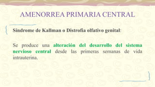 AMENORREA PRIMARIA CENTRAL
Síndrome de Kallman o Distrofia olfativo genital:
Se produce una alteración del desarrollo del sistema
nervioso central desde las primeras semanas de vida
intrauterina.
 