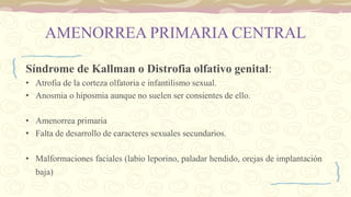 AMENORREA PRIMARIA CENTRAL
Síndrome de Kallman o Distrofia olfativo genital:
• Atrofia de la corteza olfatoria e infantilismo sexual.
• Anosmia o hiposmia aunque no suelen ser consientes de ello.
• Amenorrea primaria
• Falta de desarrollo de caracteres sexuales secundarios.
• Malformaciones faciales (labio leporino, paladar hendido, orejas de implantación
baja)
 