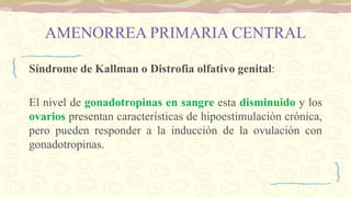 AMENORREA PRIMARIA CENTRAL
Síndrome de Kallman o Distrofia olfativo genital:
El nivel de gonadotropinas en sangre esta disminuido y los
ovarios presentan características de hipoestimulación crónica,
pero pueden responder a la inducción de la ovulación con
gonadotropinas.
 