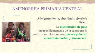 AMENORREA PRIMARIA CENTRAL
Adelgazamiento, obesidad y ejercicio
físico:
La disminución de peso
independientemente de la causa que la
produzca se relaciona con retraso puberal,
menarquia tardía, y amenorrea.
 