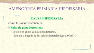 AMENORREA PRIMARIA HIPOFISARIA
CAUSA HIPOFISARIA
Son las menos frecuentes.
Falta de gonadotropinas
– alteración en las células gonadótropas,
– fallo en la llegada de las señales hipotalámicas de GnRH.
 