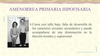 AMENORREA PRIMARIA HIPOFISARIA
Cursa con talla baja, falta de desarrollo de
los caracteres sexuales secundarios y puede
acompañarse de una disminución en la
función tiroidea y suprarrenal.
 