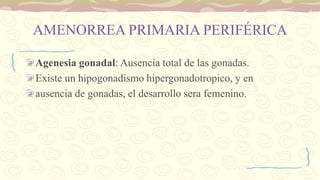 AMENORREA PRIMARIA PERIFÉRICA
Agenesia gonadal: Ausencia total de las gonadas.
Existe un hipogonadismo hipergonadotropico, y en
ausencia de gonadas, el desarrollo sera femenino.
 