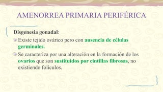 AMENORREA PRIMARIA PERIFÉRICA
Disgenesia gonadal:
Existe tejido ovárico pero con ausencia de células
germinales.
Se caracteriza por una alteración en la formación de los
ovarios que son sustituidos por cintillas fibrosas, no
existiendo folículos.
 