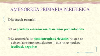 AMENORREA PRIMARIA PERIFÉRICA
Disgenesia gonadal:
Los genitales externos son femeninos pero infantiles.
Se acompaña de gonadotropinas elevadas, ya que no
existen hormonas sexuales por lo que no se produce
feedback negativo.
 