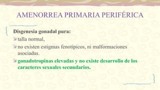 AMENORREA PRIMARIA PERIFÉRICA
Disgenesia gonadal pura:
talla normal,
no existen estigmas fenotípicos, ni malformaciones
asociadas.
gonadotropinas elevadas y no existe desarrollo de los
caracteres sexuales secundarios.
 