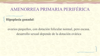 AMENORREA PRIMARIA PERIFÉRICA
Hipoplasia gonadal:
ovarios pequeños, con dotación folicular normal, pero escasa.
desarrollo sexual depende de la dotación ovárica
 