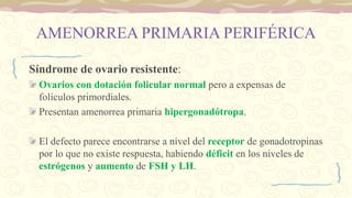 AMENORREA PRIMARIA PERIFÉRICA
Síndrome de ovario resistente:
Ovarios con dotación folicular normal pero a expensas de
folículos primordiales.
Presentan amenorrea primaria hipergonadótropa.
El defecto parece encontrarse a nivel del receptor de gonadotropinas
por lo que no existe respuesta, habiendo déficit en los niveles de
estrógenos y aumento de FSH y LH.
 
