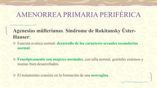 AMENORREA PRIMARIA PERIFÉRICA
Agenesias müllerianas. Síndrome de Rokitansky Üster-
Hauser:
Función ovárica normal: desarrollo de los caracteres sexuales secundarios
normal.
Fenotipicamente son mujeres normales, con talla normal, genitales externos y
mamas bien desarrollados.
El tratamiento consiste en la formación de una neovagina.
 