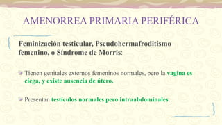 AMENORREA PRIMARIA PERIFÉRICA
Feminización testicular, Pseudohermafroditismo
femenino, o Síndrome de Morris:
Tienen genitales externos femeninos normales, pero la vagina es
ciega, y existe ausencia de útero.
Presentan testículos normales pero intraabdominales.
 