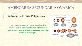 AMENORREA SECUNDARIA OVÁRICA
Síndrome de Ovario Poliquístico:
La menarquia no suele estar retrasada y debe
sospecharse en adolescentes con alteraciones
menstruales que se prolongan mas de tres años
desde la menarquia.
 