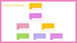 Amenorrea
hipotalámica
funcional
15 – 35%
↓en la actividad
de GnRH
↓ [] séricas de FSH
y LH
Eje H-H-S
Producción
excesiva de CRH
↓ frec de pulsos de
GnRH y ↑ cortisol
Causas endócrinas:
 