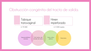 Obstrucción congénita del tracto de salida.
Tabique
transvaginal
Himen
imperforado
Hipersensibilidad
mamaria
DeCambios del
estado de ánimo
Dolor cíclico
pélvico
Amenorrea
1/ 2 000 mujeres1/ 70 000
 