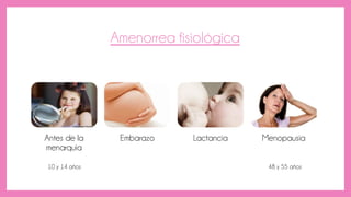 Amenorrea fisiológica
Antes de la
menarquia
Embarazo Lactancia Menopausia
10 y 14 años 48 y 55 años
 