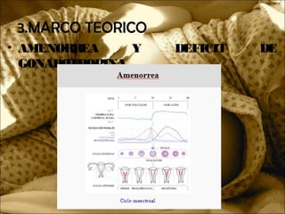 • AMENORREA Y DEFICIT DE
GONADOTROPINA
3.MARCO TEORICO
 