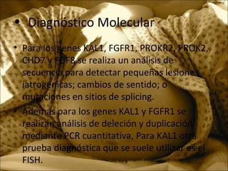 • Diagnóstico Molecular
• Para los genes KAL1, FGFR1, PROKR2, PROK2,
CHD7 y FGF8 se realiza un análisis de
secuencia para detectar pequeñas lesiones
iatrogénicas; cambios de sentido; o
mutaciones en sitios de splicing.
• Además para los genes KAL1 y FGFR1 se
realizan análisis de deleción y duplicación
mediante PCR cuantitativa, Para KAL1 otra
prueba diagnóstica que se suele utilizar es el
FISH.
 