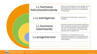 25/10/2022
La hormona
foliculoestimulante
Los estrógenos
La hormona
luteinizante
La progesterona
• Activa a la aromatasa en las células de la
granulosa que rodean a los ovocitos en
desarrollo para convertir los andrógenos
en estradiol.
• Estimulan el endometrio y hacen que
prolifere.
• Cuando comienza a aumentar durante el
ciclo menstrual, promueve la maduración
del ovocito dominante, la liberación del
ovocito, y la formación del cuerpo lúteo,
que produce progesterona.
• Transforma el endometrio en una
estructura secretora y lo prepara para la
implantación del huevo (decidualizacion
endometrial).
 