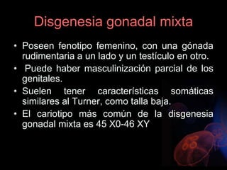 Disgenesia gonadal mixta
• Poseen fenotipo femenino, con una gónada
rudimentaria a un lado y un testículo en otro.
• Puede haber masculinización parcial de los
genitales.
• Suelen tener características somáticas
similares al Turner, como talla baja.
• El cariotipo más común de la disgenesia
gonadal mixta es 45 X0-46 XY
 