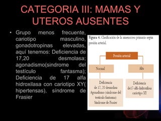 CATEGORIA III: MAMAS Y
UTEROS AUSENTES
• Grupo menos frecuente,
cariotipo masculino,
gonadotropinas elevadas,
aquí tenemos: Deficiencia de
17,20 desmolasa;
agonadismo(sindrome del
testículo fantasma);
Deficiencia de 17 alfa
hidroxilasa con cariotipo XY(
hipertensas), síndrome de
Frasier
 