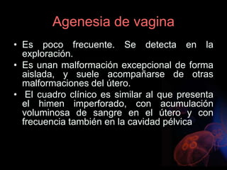 Agenesia de vagina
• Es poco frecuente. Se detecta en la
exploración.
• Es unan malformación excepcional de forma
aislada, y suele acompañarse de otras
malformaciones del útero.
• El cuadro clínico es similar al que presenta
el himen imperforado, con acumulación
voluminosa de sangre en el útero y con
frecuencia también en la cavidad pélvica
 
