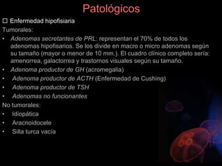 Patológicos
 Enfermedad hipofisiaria
Tumorales:
• Adenomas secretantes de PRL: representan el 70% de todos los
adenomas hipofisarios. Se los divide en macro o micro adenomas según
su tamaño (mayor o menor de 10 mm.). El cuadro clínico completo sería:
amenorrea, galactorrea y trastornos visuales según su tamaño.
• Adenoma productor de GH (acromegalia)
• Adenoma productor de ACTH (Enfermedad de Cushing)
• Adenoma productor de TSH
• Adenomas no funcionantes
No tumorales:
• Idiopática
• Aracnoidocele
• Silla turca vacía
 