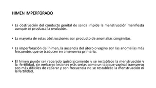 HIMEN IMPERFORADO
• La obstrucción del conducto genital de salida impide la menstruación manifiesta
aunque se produzca la ovulación.
• La mayoría de estas obstrucciones son producto de anomalías congénitas.
• La imperforación del himen, la ausencia del útero o vagina son las anomalías más
frecuentes que se traducen en amenorrea primaria.
• El himen puede ser reparado quirúrgicamente y se restablece la menstruación y
la fertilidad, sin embargo lesiones más serias como un tabique vaginal transverso
son más difíciles de reparar y con frecuencia no se restablece la menstruación ni
la fertilidad.
 