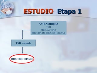 ESTUDIO  Etapa 1 AMENORREA TSH PROLACTINA PRUEBA DE PROGESTERONA TSH  elevada HIPOTIROIDISMO 