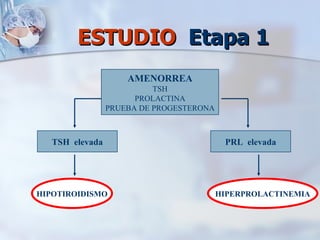 ESTUDIO  Etapa 1 AMENORREA TSH PROLACTINA PRUEBA DE PROGESTERONA TSH  elevada HIPOTIROIDISMO PRL  elevada HIPERPROLACTINEMIA 