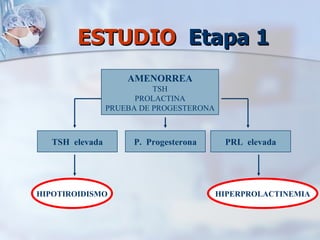 ESTUDIO  Etapa 1 AMENORREA TSH PROLACTINA PRUEBA DE PROGESTERONA TSH  elevada HIPOTIROIDISMO P.  Progesterona PRL  elevada HIPERPROLACTINEMIA 