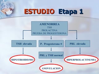 ESTUDIO  Etapa 1 AMENORREA TSH PROLACTINA PRUEBA DE PROGESTERONA TSH  elevada HIPOTIROIDISMO P.  Progesterona  + PRL y TSH normal ANOVULACION PRL  elevada HIPERPROLACTINEMIA 