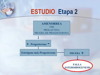 ESTUDIO  Etapa 2 AMENORREA TSH PROLACTINA PRUEBA DE PROGESTERONA P.  Progesterona   - Estrógeno más Progesterona PRUEBA  + FALLA  ESTEROIDOGENESIS 