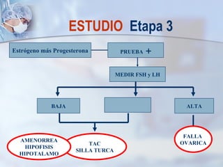 ESTUDIO  Etapa 3 Estrógeno más Progesterona PRUEBA  + MEDIR FSH y LH ALTA BAJA FALLA  OVARICA TAC SILLA TURCA AMENORREA HIPOFISIS HIPOTALAMO 