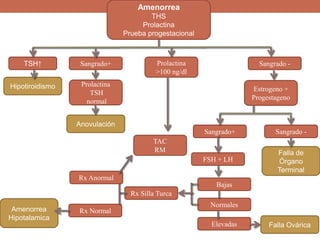 Amenorrea
THS
Prolactina
Prueba progestacional
TSH↑ Sangrado+ Prolactina
>100 ng/dl
Sangrado -
Hipotiroidismo Prolactina
TSH
normal
Anovulación
Estrogeno +
Progestageno
Sangrado -
Falla de
Órgano
Terminal
Sangrado+
FSH + LH
Normales
Bajas
Elevadas Falla Ovárica
Rx Silla Turca
Rx NormalAmenorrea
Hipotalamica
Rx Anormal
TAC
RM
 
