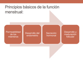 Principios básicos de la función
menstrual:
Permeabilidad
de los
miembros
Desarrollo del
endometrio
Secreción
hormonal
Desarrollo y
maduración
folicular
 
