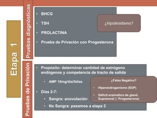 Etapa1
• Propósito: determinar cantidad de estrógeno
endógenos y competencia de tracto de salida
• AMP 10mg/día/5dias
• Días 2-7:
• Sangra: anovulación
• No Sangra: pasamos a etapa 2
PruebasdePrivaciónPruebasdiagnósticas
• BHCG
• TSH
• PROLACTINA
• Prueba de Privación con Progesterona
¿hipotiroidismo?
¿Falso Negativo?
• Hiperandrogenismo (SOP)
• Déficit enzimático de gland.
Suprarenal (↑ Progesterona)
 