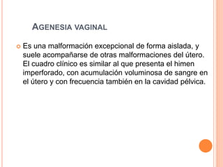 AGENESIA VAGINAL 
 Es una malformación excepcional de forma aislada, y 
suele acompañarse de otras malformaciones del útero. 
El cuadro clínico es similar al que presenta el himen 
imperforado, con acumulación voluminosa de sangre en 
el útero y con frecuencia también en la cavidad pélvica. 
 