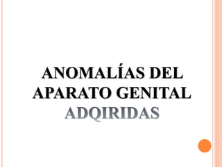 ANOMALÍAS DEL 
APARATO GENITAL 
 