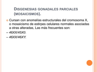DISGENESIAS GONADALES PARCIALES 
(MOSAICISMOS). 
 Cursan con anomalías estructurales del cromosoma X, 
o mosaicismo de estirpes celulares normales asociadas 
a otras alteradas, Las más frecuentes son: 
– 46XX/45X0. 
– 46XX/46XY. 
 