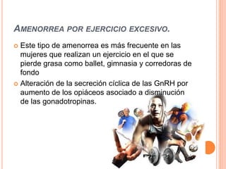 AMENORREA POR EJERCICIO EXCESIVO. 
 Este tipo de amenorrea es más frecuente en las 
mujeres que realizan un ejercicio en el que se 
pierde grasa como ballet, gimnasia y corredoras de 
fondo 
 Alteración de la secreción cíclica de las GnRH por 
aumento de los opiáceos asociado a disminución 
de las gonadotropinas. 
 