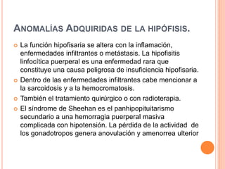 ANOMALÍAS ADQUIRIDAS DE LA HIPÓFISIS. 
 La función hipofisaria se altera con la inflamación, 
enfermedades infiltrantes o metástasis. La hipofisitis 
linfocítica puerperal es una enfermedad rara que 
constituye una causa peligrosa de insuficiencia hipofisaria. 
 Dentro de las enfermedades infiltrantes cabe mencionar a 
la sarcoidosis y a la hemocromatosis. 
 También el tratamiento quirúrgico o con radioterapia. 
 El síndrome de Sheehan es el panhipopituitarismo 
secundario a una hemorragia puerperal masiva 
complicada con hipotensión. La pérdida de la actividad de 
los gonadotropos genera anovulación y amenorrea ulterior 
 
