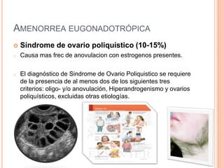 AMENORREA EUGONADOTRÓPICA 
 Síndrome de ovario poliquístico (10-15%) 
o Causa mas frec de anovulacion con estrogenos presentes. 
o El diagnóstico de Sindrome de Ovario Poliquistico se requiere 
de la presencia de al menos dos de los siguientes tres 
criterios: oligo- y/o anovulación, Hiperandrogenismo y ovarios 
poliquísticos, excluidas otras etiologías. 
 