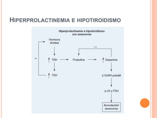 HIPERPROLACTINEMIA E HIPOTIROIDISMO 
 