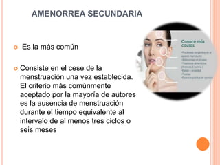 AMENORREA SECUNDARIA 
 Es la más común 
 Consiste en el cese de la 
menstruación una vez establecida. 
El criterio más comúnmente 
aceptado por la mayoría de autores 
es la ausencia de menstruación 
durante el tiempo equivalente al 
intervalo de al menos tres ciclos o 
seis meses 
 