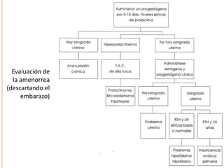Evaluación de 
la amenorrea 
(descartando el 
embarazo) 
 