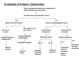 CNS; HP
Disorder
Gonadal
Failure
History and physical examination completed for a
patient with primary amenorrhea
Secondary sexual characteristics present
No Yes
Measure FSH and LH levels
Uterus absent
or abnormal
Uterus present
or normal
Karyotype analysis Outflow obstruction
FSH and LH
< 5 IU/ L
Hypogonadotropic
hypogonadism
Hypergonadotropic
hypogonadism
Karyotype analysis 46, XY 46, XX
Mullerian
Agenesis
Androgen
Sensitivity
Syndrome
No
Yes
Evaluate for
secondary
amenorrheaImperforate
hymen or
transverse
vaginal
septum
Perform ultrasonography of uterus
Evaluation of Primary Amenorrhea
FSH > 20 IU/ L and
LH > 40 IU/ L
 