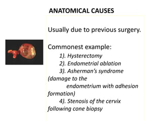 ANATOMICAL CAUSES
Usually due to previous surgery.
Commonest example:
1). Hysterectomy
2). Endometrial ablation
3). Asherman’s syndrome
(damage to the
endometrium with adhesion
formation)
4). Stenosis of the cervix
following cone biopsy
 